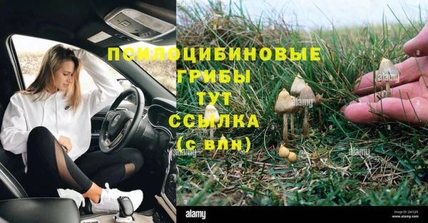 гашиш Алзамай